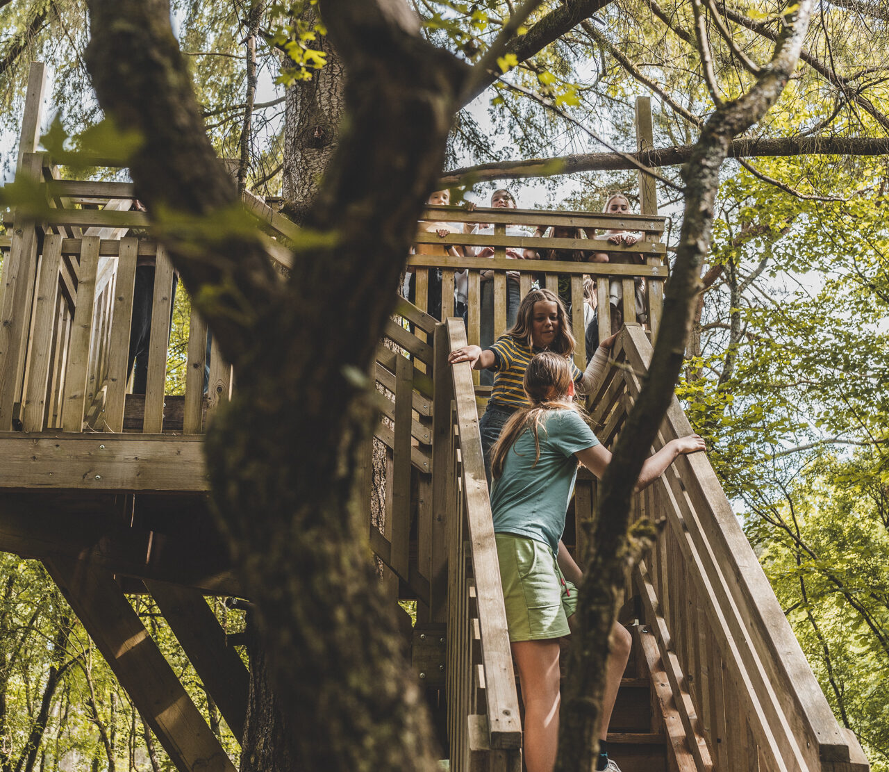 Afbeelding Vakantiedomein Dennenheuvel